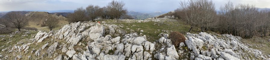 Tontorra