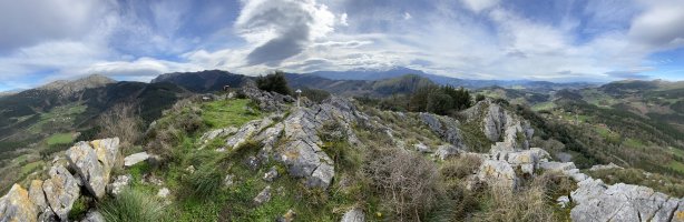 Tontorra