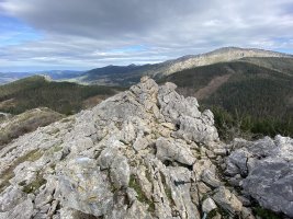 Tontorra
