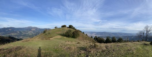 Tontorra