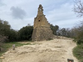 Tontorra