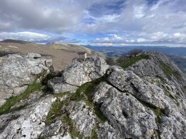 Tontorra