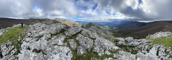 Tontorra