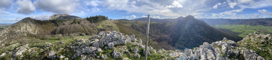 Tontorra