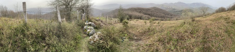 Tontorra