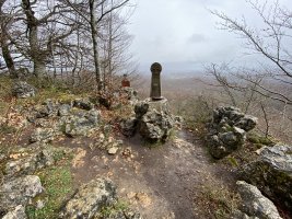 Tontorra