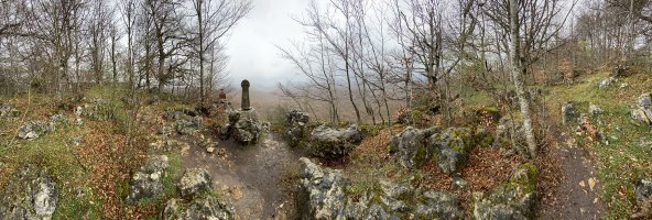 Tontorra