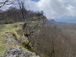 Tontorra