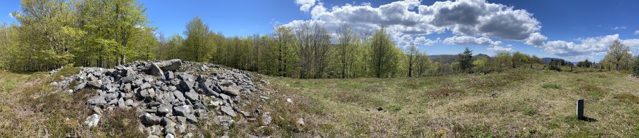 Tontorra
