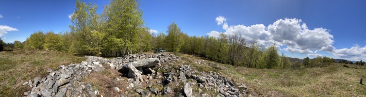 Tontorra