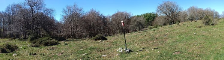 Tontorra