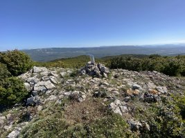 Tontorra