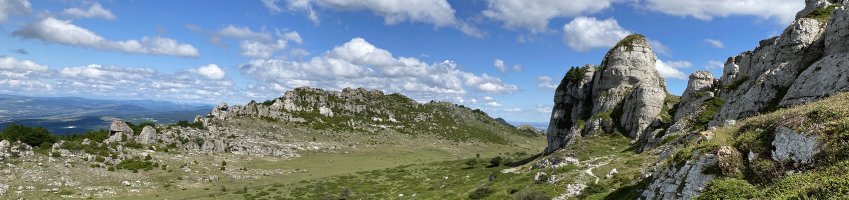 Toloño