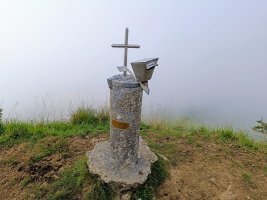 Tontorra