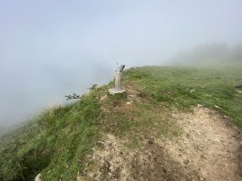 Tontorra