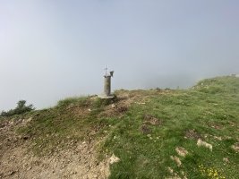 Tontorra