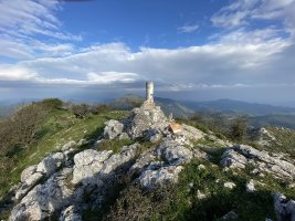 Tontorra