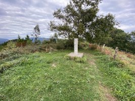 Tontorra