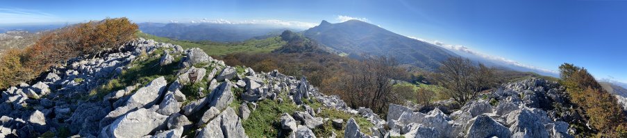 Tontorra