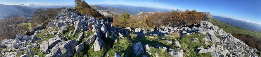 Tontorra