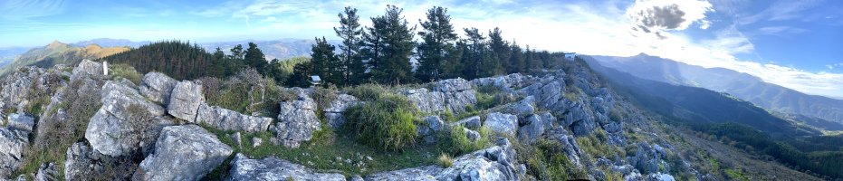 Tontorra