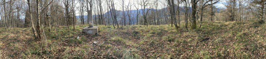Tontorra