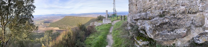 Tontorra