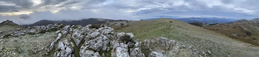 Tontorra