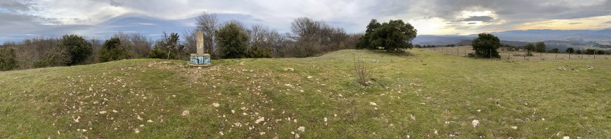 Tontorra