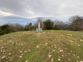Tontorra