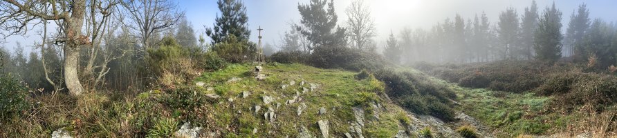 Tontorra