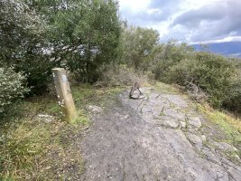 Tontorra