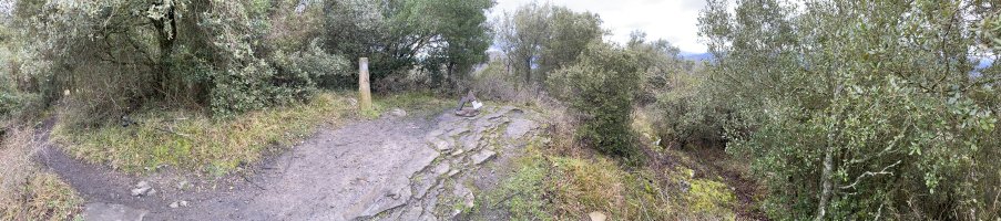 Tontorra