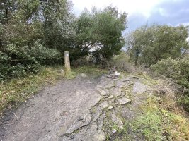 Tontorra