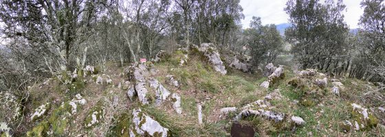 Tontorra