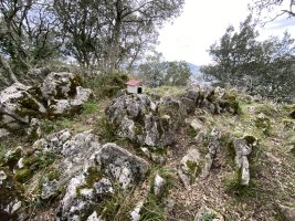 Tontorra