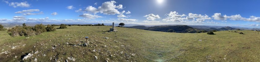 Tontorra