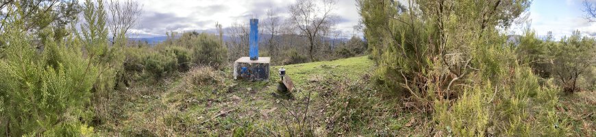 Tontorra