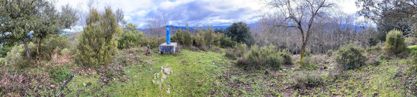 Tontorra