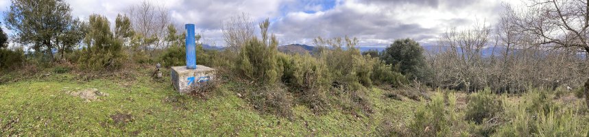 Tontorra