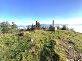 Tontorra
