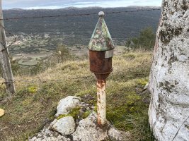 Buzoia