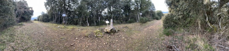 Tontorra