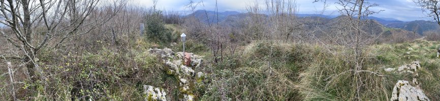 Tontorra