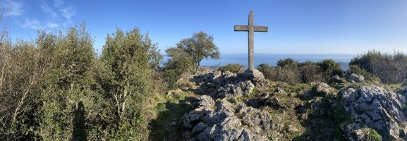 Tontorra