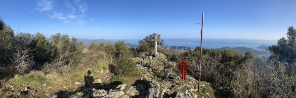 Tontorra