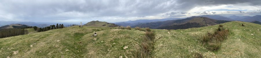 Tontorra