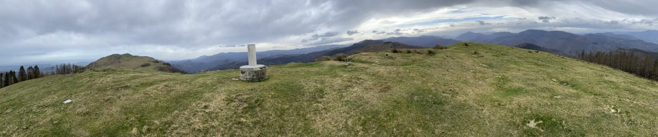 Tontorra