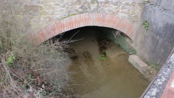 Errota, Ziordia
