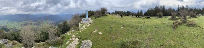 Tontorra